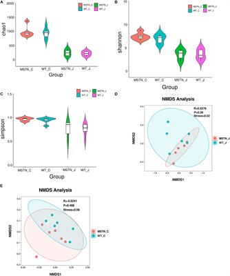 Integrated Microbiome and Metabolome Analysis Reveals a Positive Change in the Intestinal Environment of Myostatin Edited Large White Pigs